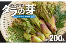 《先行予約》タラの芽　約200g【2025年3月中旬～順次発送予定】【022-007】