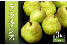 《先行受付》ラ・フランス　約3kg（2Lサイズ　8～9玉） 【2025年11月上旬より順次発送予定】【022-008】