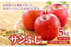 《先行予約》【贈答規格】サンふじ 5kg（16玉～20玉）【2024年11月下旬以降～発送予定】【043-005】