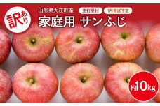 《先行受付》【2026年1月発送予定】 訳あり 家庭用サンふじ約10kg りんご 【大江町産・山形りんご・大地農産】【028-028】
