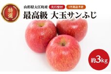 《先行受付》【2026年1月発送予定】 最高級 特選大玉サンふじ約3kg　【大江町産・山形りんご・大地農産】【028-027】