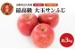 《先行受付》【2026年1月発送予定】 最高級 特選大玉サンふじ約3kg　【大江町産・山形りんご・大地農産】