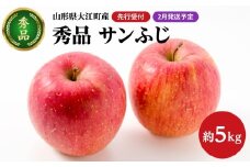《先行受付》【2026年2月発送予定】 サンふじ約5kg・秀品【大江町産・山形りんご・大地農産】【028-030】
