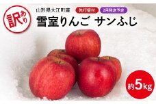 《先行受付》【2026年2月発送予定】 訳あり 雪室りんごサンふじ 約5kg【大江町産・山形りんご・大地農産】【028-029】