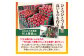 《先行受付》【2026年2月発送予定】 最高級 特選大玉サンふじ約3kg　【大江町産・山形りんご・大地農産】