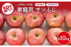 《先行受付》【2026年2月発送予定】 訳あり 家庭用サンふじ約10kg りんご 【大江町産・山形りんご・大地農産】【028-032】