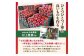《先行受付》【2026年2月発送予定】 訳あり 家庭用サンふじ約10kg　【大江町産・山形りんご・大地農産】