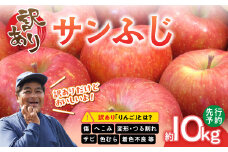  ≪先行受付≫【訳あり】サンふじ10kg 28～46玉 【2025年12月中旬発送予定】 【054-003】