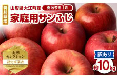 《先行受付》特別栽培 訳あり 家庭用サンふじ約10kg  【2026年1月～発送予定】 【025-021】