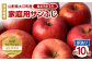 《先行受付》特別栽培 訳あり 家庭用サンふじ約10kg 【2026年1月～発送予定】