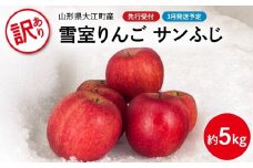 《先行受付》【2026年3月発送予定】 訳あり 雪室りんごサンふじ 約5kg【大江町産・山形りんご・大地農産】【028-033】