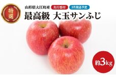 《先行受付》【2026年3月発送予定】 最高級 特選大玉サンふじ約3kg【大江町産・山形りんご・大地農産】 【028-035】