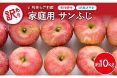 《先行受付》【2026年3月発送予定】 訳あり 家庭用サンふじ約10kg りんご 【大江町産・山形りんご・大地農産】 【028-036】