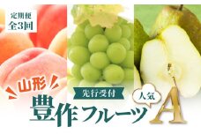  ≪先行受付≫ 山形豊作フルーツ人気Ａ【定期便全3回】 【060-T02】