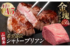 山形牛シャトーブリアン 金塊ブロック 450g 【肉の小林】 【058-001】