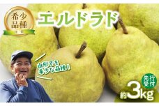  ≪先行受付≫エルドラド（洋梨）3kg 6～10玉 【2025年11月上旬～順次発送予定】 【054-004】