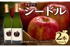 やまがたシードル750ml×2本 【061-002】