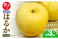 《先行受付》訳あり 雪蔵貯蔵 はるかりんご 約3kg【2025年3月上旬頃～発送予定】【大江町産・山形りんご・りんご専科 清野】 【015-068】