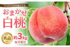  ≪先行受付≫ froSchがお届けするおまかせ白桃 約3kg 【2025年7月下旬より順次発送予定】【060-002】