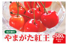  《先行受付》さくらんぼ 山形紅王（やまがたべにおう）約500g (2Lサイズ以上) 【2025年6月中旬～順次発送予定】【022-012】