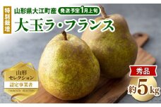 ≪先行受付≫ 特別栽培 大玉 ラ・フランス 約5kg 秀品4L～3L 【2026年1月より順次発送予定】 【025-023】