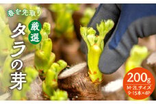 春を先取り♪厳選タラの芽 【060-003】
