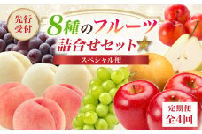 ≪先行受付≫8種のフルーツ詰合せセット★スペシャル便【定期便全４回】【060-T05】