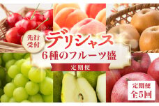  ≪先行受付≫ デリシャス６種のフルーツ盛定期便【定期便全5回】【060-T07】