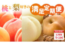 ≪先行受付≫ 桃と梨好きの満足定期便【定期便全3回】 【060-T10】