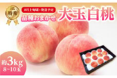 《先行受付》品種おまかせ 大玉白桃 約3kg【特秀】 （8～10玉）【2025年8月上旬頃～発送予定】 【001-100】