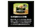 マルハニチロ 冷凍食品 WILDish ねぎ塩豚カルビ炒飯 １人前×16個入り