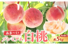 ≪先行受付≫ 甘～い プレミアム白桃 約5kg【2025年8月中旬頃～発送予定】 【060-015】