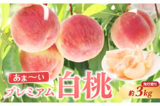 ≪先行受付≫ 甘～い プレミアム白桃 約3kg【2025年8月中旬頃～発送予定】 【060-014】