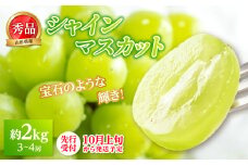 《先行受付》★シャインマスカット★ 約2kg（3～4房）秀品【2025年10月上旬頃～発送予定】 【063-005】