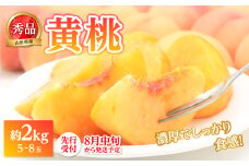 《先行受付》★黄桃（品種おまかせ）★ 約2kg(5～8玉) 秀品 【2025年8月中旬頃～発送予定】 【063-003】