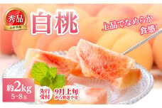 《先行受付》★白桃（品種おまかせ）★ 約2kg(5～8玉) 秀品 【2025年9月上旬頃～発送予定】 【063-002】