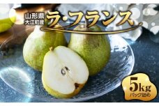 ≪先行受付≫ラ・フランス 5kg 14個～20個【2025年11月上旬～順次発送予定】 【057-002】