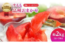 山形県大江町産 品種おまかせ すもも 【004-012】