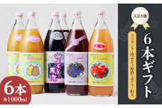 大江の恵6本ギフト山ブドウ原液・ラ・フランス・ぶどう・紅玉各1000ml） 【003-023】