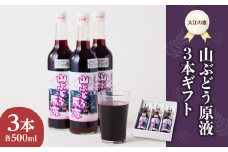 大江の恵 山ぶどう3本ギフト(各500ml) 【003-024】