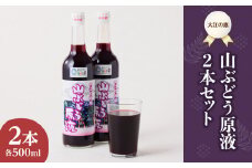 大江の恵 山ぶどう原液2本セット(各500ml） 【003-026】
