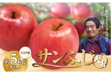 大江の恵み 大玉サンふじ約5kg・秀以上(14～18玉) 【2025年12月中旬発送予定】【003-029】