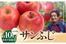 大江の恵み 訳あり 家庭用サンふじ約10kg(12～23玉)【2025年12月中旬発送予定】 【003-030】