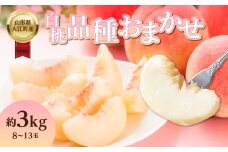 白桃 品種お任せ 3kg（8玉～13玉）【道の駅おおえ】 【004-013】