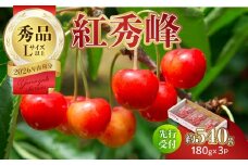 【2026年度先行受付】★さくらんぼ紅秀峰★約540g 秀品 【6月より順次発送予定】 【063-008】