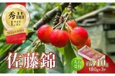 【2026年度先行受付】★さくらんぼ佐藤錦★約540g 秀品 【6月より順次発送予定】 【063-012】
