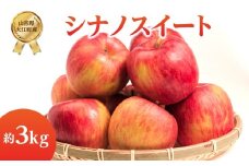 《先行受付》シナノスイート約3kg 【2025年10月中旬頃～発送予定】【山形県産りんご】 【001-106】
