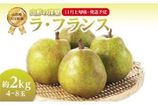 《先行受付》ラ・フランス 約2kg（4～8玉） 【2025年11月上旬頃～発送予定】【山形洋梨】 【001-103】