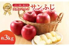 《先行受付》サンふじ約3kg 【2025年12月上旬頃～発送予定】【山形りんご・大江町産】 【001-104】