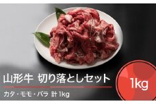 山形牛 肉 牛肉 切り落としセット 計1000g ja-gnkrx1000